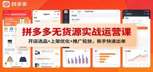 拼多多无货源实战运营课：开店选品+上架优化+推广投放，新手快速出单-KJ分享