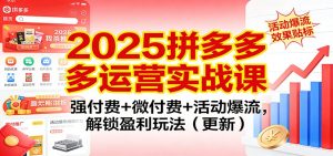 2025拼多多运营实战课：强付费+微付费+活动爆流，解锁盈利玩法（更新）-KJ分享