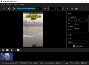 Topaz Video Enhance AI v4.0.6-KJ分享