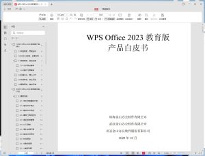 WPS 2023教育纯净版 v12.8.2.20324-KJ分享
