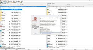 双窗格文件管理Double Commander v1.1.31绿色版-KJ分享
