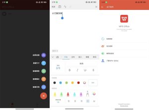 安卓WPS Office v11.4.1.6政务定制版-KJ分享