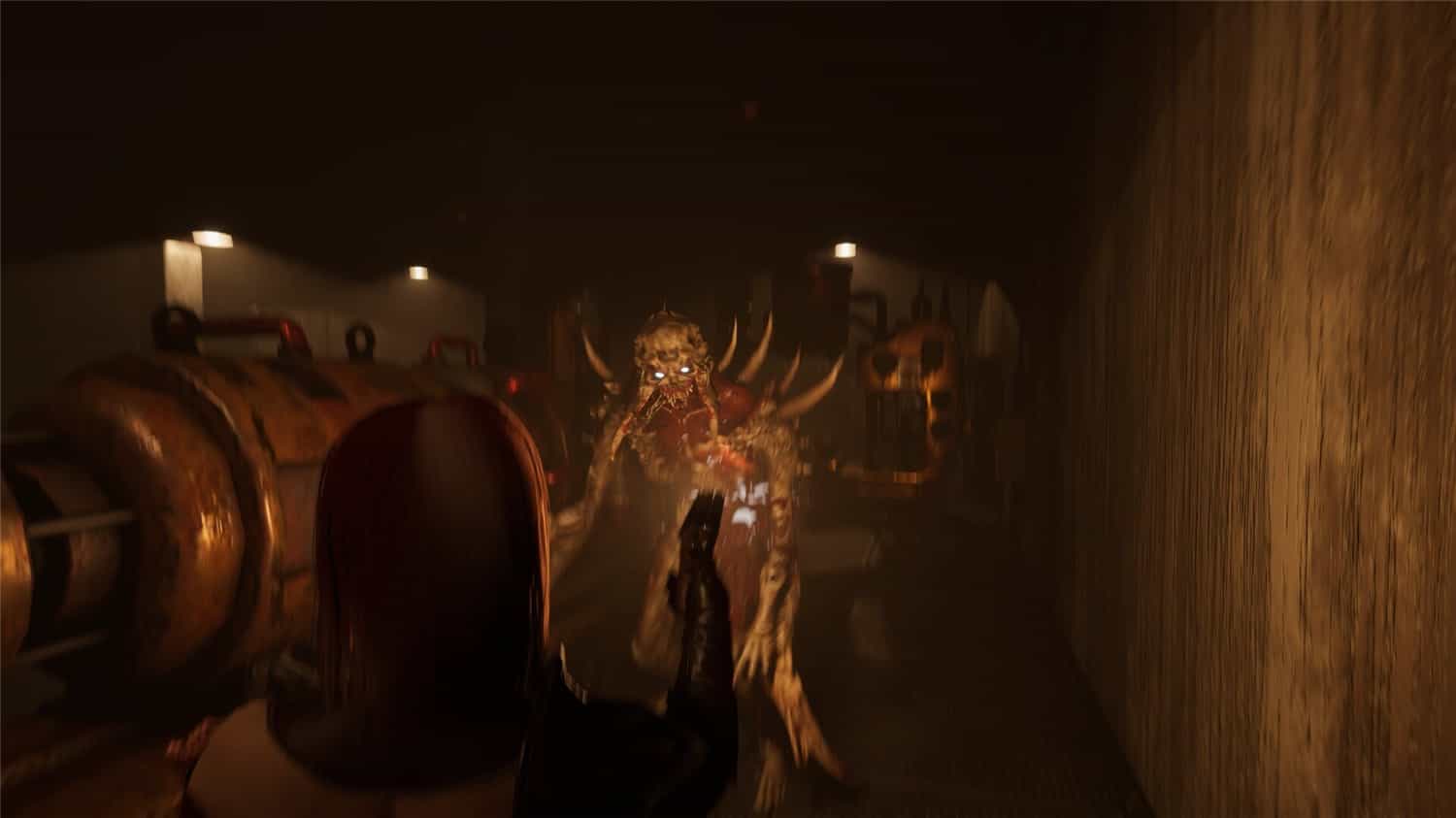 《绝望：血之诅咒》v1.0.5中文版-KJ分享