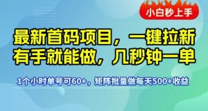 最新首码项目,一键拉新有手就能做,几秒钟一单,1个小时单号可60+,矩阵批量做每天5张-KJ分享