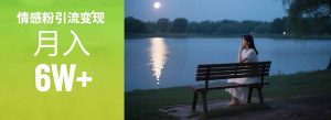 情感粉引流变现实操课:单月变现6w+,情感粉引流变现实操课-KJ分享