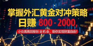 掌握外汇黄金对冲策略，日赚 800 – 2000，小众高回报创业机会，助你实…-KJ分享