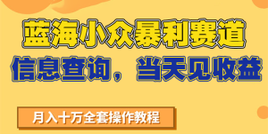 蓝海小众暴利赛道,信息查询,当天见收益,不讲玄学,7天搞了2万+-KJ分享