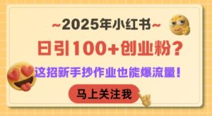 2025年小红书日引100+创业粉？这招新手抄作业也能爆流量！-KJ分享