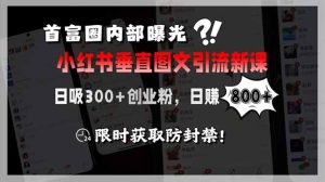 首富圈内部曝光小红书垂直图文引流新课，日吸300+创业粉，日赚800+，限…-KJ分享
