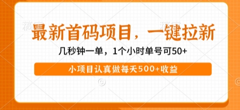 最新首码项目，操作最简单，收益高，一键拉新，1个小时单号可50+，小项目认真做每天5张+收益-KJ分享