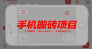 手机搬砖项目,有手就能做,亲测一小时几十,苹果安卓都可以-KJ分享