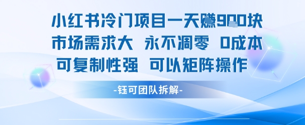 小红书冷门项目一天收益9张，市场需求大，0成本，可复制性强可以矩阵操作-KJ分享