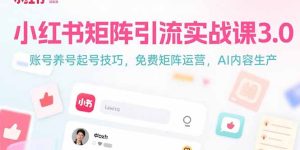 小红书矩阵引流实战课3.0：账号养号起号技巧，免裴矩阵运营，AI内容生产-KJ分享