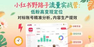 小红书野路子流量实战营:低粉高变现定位 对标账号精准分析 内容生产提效-KJ分享