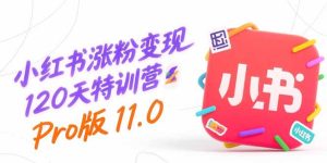 小红书涨粉变现120天特训营Pro版11.0:从0到1掌握平台运营,内容制作和变现-KJ分享