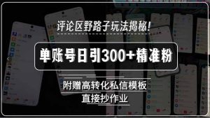 评论区野路子玩法揭秘！单账号日引300+精准粉，附赠高转化私信模板，直…-KJ分享