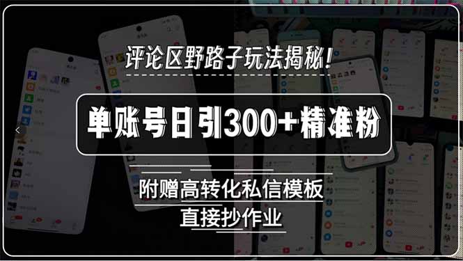 评论区野路子玩法揭秘！单账号日引300+精准粉，附赠高转化私信模板，直…-KJ分享