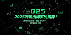 2025跨境出海实战指南,并购全流程解析,自创营销体系,专家基本功训练-KJ分享
