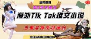 海外tiktok小说推文暴力项目，高停留率，高转化率，上手后一天搞顿饭钱不是问题-KJ分享