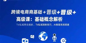 跨境电商基础+晋级+高级课:基础概念解析,Tk私域涨粉技巧,AI客服系统搭建-KJ分享