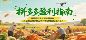 拼多多盈利指南：强付费玩法挖掘流量红利，活动爆流技术搭配微付费方案实现盈利跃升-KJ分享