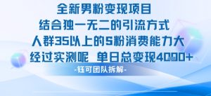 全新男粉变现项目引流人群35以上的男粉消费能力大 经过实测单日变现1k+-KJ分享