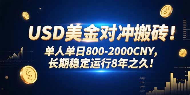 USD美金对冲搬砖!单人单日800-2000CNY，长期稳定运行8年之久!-KJ分享