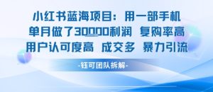 小红书蓝海项目,一部手机单月做了3W利润,小白也能月入过1W用户认可度高成交多-KJ分享