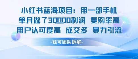 小红书蓝海项目，一部手机单月做了3W利润，小白也能月入过1W用户认可度高成交多-KJ分享