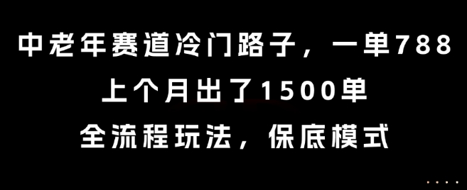 中老年赛道冷门路子，一单788，上个月出了1500单，全流程玩法，保底模式-KJ分享