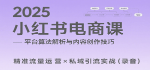 2025小红书电商课:解析算法,创作高转化内容,助力卖家获取流量实现变现(录音)-KJ分享