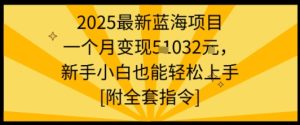2025最新蓝海项目一个月变现1w+新手小白也能轻松上手【附全套指令】-KJ分享