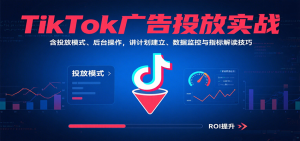 TikTok广告投放实战，含投放模式、后台操作，讲计划建立、数据监控与指标解读技巧-KJ分享