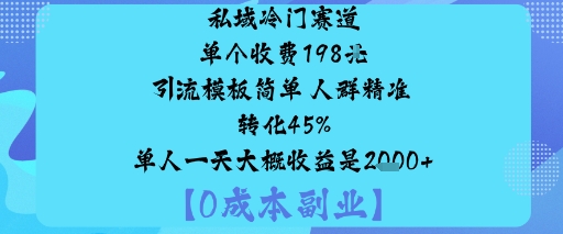 私域冷门赛道:单个收费198米引流模板简单人群精准转化45%单人一天大概收益是1k+-KJ分享