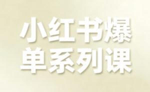 小红书爆单系列课,聚焦小红书电商全链路增长-KJ分享