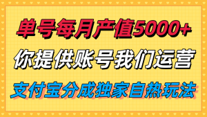 单月产值5000+,支付宝分成代运营,你提供账号坐等分钱,我们帮你运营-KJ分享