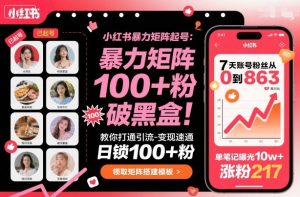 小红书暴力矩阵起号，教你打通引流-变现速通，日锁100+粉，破流量黑盒-KJ分享