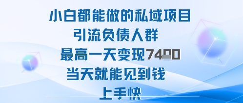 2025年小白都能做的私域项目引流负债人群最高一天变现1k+高变现难度低当天就能见到钱上手快-KJ分享