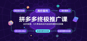 拼多多终极推广课:出价投放、5大单品玩法与全店托管优化实操-KJ分享