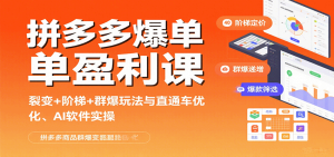 拼多多爆单盈利课:裂变+阶梯+群爆玩法与直通车优化、AI 软件实操-KJ分享