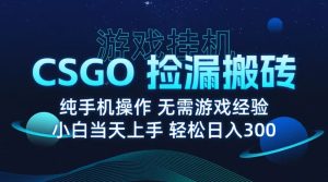 9月最新游戏搬砖，CSGO纯挂机，不需要玩游戏，实现真挂机，月入1W+-KJ分享