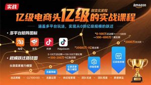 亿级电商头部卖家的实战课程:涵盖多平台玩法,实现从0到亿级规模的跃迁-KJ分享