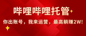 【哔哩哔哩托管】AI短视频带货,你出账号,我来运营,最高躺赚2W!-KJ分享