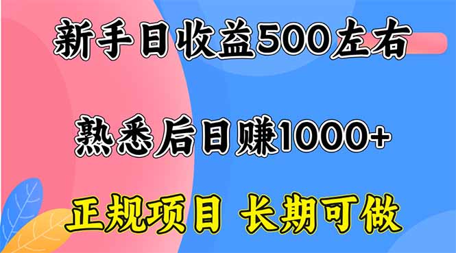 新手日收益500+ 正规项目 长期可做-KJ分享