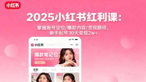 2025小红书红利课:掌握账号定位/爆款内容/变现路径,新手起号30天变现2w+-KJ分享