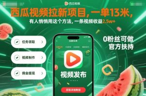 西瓜视频拉新项目,一单13米,有人悄悄用这个方法,一条视频收益2.5w+(附详细教程)-KJ分享