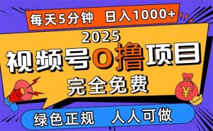 2025视频号0撸项目，5分钟一个号，日入1000+，人人可做-KJ分享