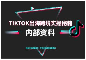 TikTok跨境电商0-1搭建运营，TK出海跨境实操秘籍（10月更新）-KJ分享