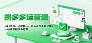 拼多多运营课，入门搭建、进阶技巧、新玩法及工具使用，一站式掌握多多运营-KJ分享