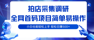 拍店采集调研,全网首码项目,简单易操作, 小白也能轻松上手,轻松日赚500+-KJ分享